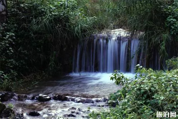 深溝森林公園景區(qū)介紹 深溝森林公園景區(qū)門票-交通指南