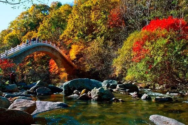 天橋溝國家森?
?公園在哪 最適合什么時(shí)候去玩