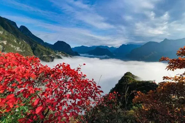 巫山紅葉最佳觀賞地點及路線推薦