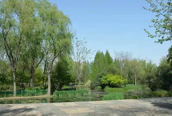 洛陽隋唐城遺址植物園露營的地方在哪里