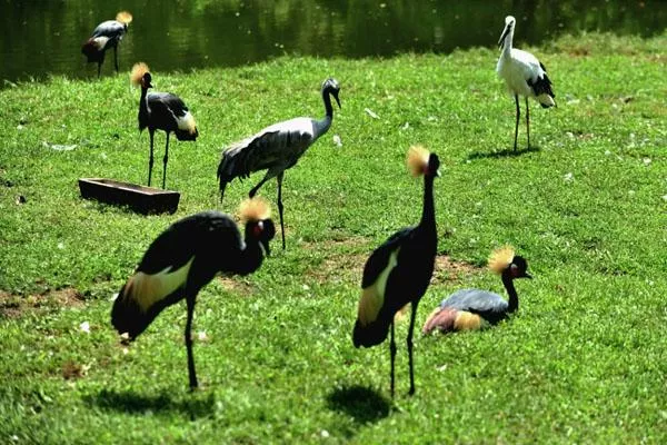 秦皇島野生動物園游玩攻略 附門票價格及表演時間