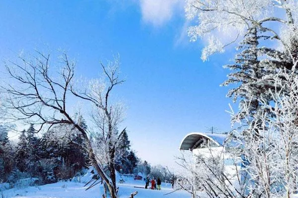 ?北大壺滑雪場門票多少錢 開放時間