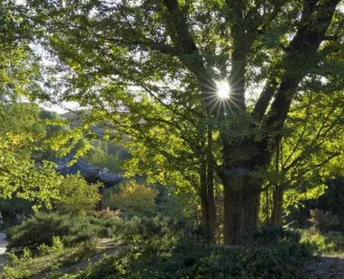 香山公園什么時候去最好  香山公園門票是多少