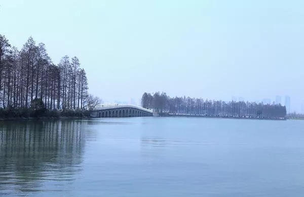 東湖綠道怎么去?從哪里進去?附詳細游玩攻略